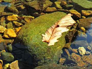 昆明房產(chǎn)信息網(wǎng)——引領(lǐng)您走進(jìn)云南房產(chǎn)新時(shí)代